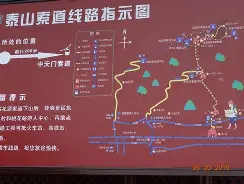 山东泰山今晚出战阵容最新 山东泰山今晚出战阵容最新