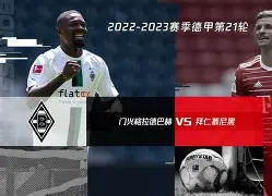 爱游戏体验-拜仁慕尼黑主力